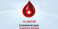 14 июня отмечается Всемирный день донора крови - Росгвардия
