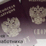 14 июня – День работника миграционной службы - Зерноградский район