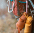 Фото: africa_pink/Shutterstock/Fotodom - Ямал-Медиа