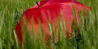 Фото © magnific.com - KaspyInfo.Ru