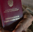В Госдуме рассказали, кто имеет право получать две пенсии - Spbdnevnik.ru