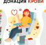 Памятка донору: как подготовиться к сдаче крови - Роспотребнадзор