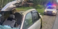 Две смертельные аварии за ночь произошли в Курганской области - Область 45