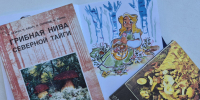 Рисуем грибы и узнаём их секреты! - ЦБС города Архангельска
