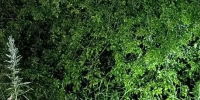 img - Администрация Крымского района