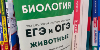 В понедельник выпускники Заполярья сдадут экзамены по трём предметам - SeverPost.ru
