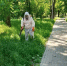 С начала сезона от укусов клещей пострадали 1129 тамбовчан - OnlineTambov.Ru