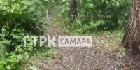 На Самарскую область обрушился град - КТВ-ЛУЧ