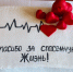 В Ленобласти напомнили о значении донорства крови - Online47.Ru