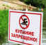 Красные флаги, продажа «святого» и кольцо из золота: итожим неделю в Ярославле - Газета Новый вестник
