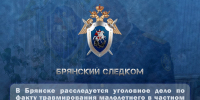 В Брянске расследуется уголовное дело по факту травмирования малолетнего в частном детском воспитательном учреждении - Следственный комитет
