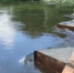 Вода прибывает... - SysertNews.Ru