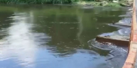 Вода прибывает... - SysertNews.Ru