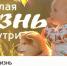 «За жизнь». Размышлениями о материнстве, его трудностях и радостях - Ижевская и Удмуртская епархия