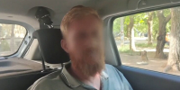 Полиция установила личность владельца собак, напавших на девочку в Севастополе - M24.Ru