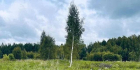 Обломки БПЛА обнаружили в Костромской области, второй больше не ищут - Kostroma.Today