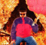 Всего в крушении погибли шесть человек | Источник: olivertree / Instagram (экстремистская организация, деятельность запрещена на территории РФ) - 76.Ru