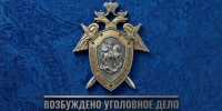 Возбуждено уголовное дело о применении насилия к сотруднику полиции в аэропорту Благовещенска - Следственный комитет