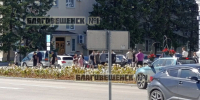 В мэрии Благовещенска объяснили непрезентабельный внешний вид гортензий, которые высадили в мае (ФОТО, ВИДЕО) - Asn24.Ru