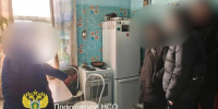 Жительница Новосибирской области ударила мужчину ножом на глазах у ребёнка - Gorsite.Ru