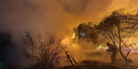 За сутки в Ленобласти потушили 11 пожаров - ЛенТВ24