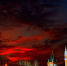 Фото: Timofeev Vladimir/Shutterstock/Fotodom - Ямал-Медиа