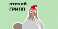 Что такое птичий грипп? - Иглинский район