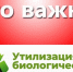 Как правильно утилизировать биологические отходы в Сладковском муниципальном округе - Сладковский район