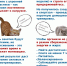 PhotoCollage_1781497316235.jpg - ГАУЗ КО ОКЦОЗШ