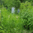 VonBk8HFBfzhTwW0W9LKrMChsiQK3yHgdV_cDraknEJMUw3upe2HjezENSgJi7aKoMJUHXBG60LBbaOyNCfkLzMZ.jpg - Ozersk74.Ru