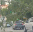 В Калининском районе Новосибирска рухнувшая берёза перегородила улицу Танковую - Сиб.фм