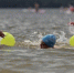 Более 500 участников собрал заплыв Swimcup на Можайском водохранилище 12 июня - Правительство Московской области