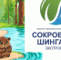 Итоги конкурса. Фото: Курганское областное отделение РГО - Курганское отделение РГО