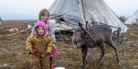 Фото: Фёдор Воронов / «Ямал-Медиа» - Красный Север