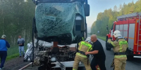 Фото Госавтоинспекции Тюменской области, автор неизвестен - Tumentoday.Ru
