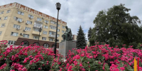 Итоги недели. Что важного произошло в Воронежской области с 8 по 14 июня - РИА Воронеж