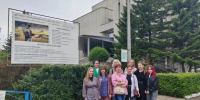 Микроклонирование. Магистранты института лесных технологий изучили современные методы размножения растений - СибГУ им. М.Ф. Решетнева