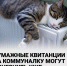 Бумажные квитанции за коммуналку могут исчезнуть уже с осени - Газета Вперёд