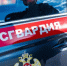 В Северодвинске наряд Росгвардии задержал подозреваемого в воровстве - Росгвардия