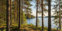 📢 Ленинградская область участвует в Russian Traveler Awards 2026! - Комитет по культуре и туризму