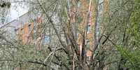 img - ЛДПР