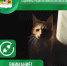 _TtmEn30slJ79DwNxW3tt5fLnnw8A6wE1cJyK6dPHjedHLohX6rcLNWVZHHDl6r8iXllIrXX9XLSJty9xNaoVJtE.jpg?quality=95&crop=0,0,782,925&as=32x38,48x57,72x85,108x128,160x189,240x284,360x426,480x568,540x639,640x757,720x852,782x925&from=bu&u=F5cTjvJC6jnmR7dTeJ7OZozI-YkZN8ioel0SZTpMGcA&cs=782x0 - Великоустюгский муниципальный округ