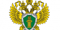 Прокуратура Октябрьского района направила в суд уголовное  дело по факту cовершения мошенничества при получении выплат. - Кореневский район