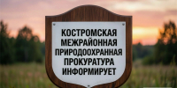 Костромская межрайонная природоохранная прокуратура информирует - Чухломский район