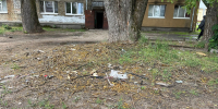 img - ЛДПР