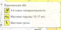 Желтый уровень опасности объявили из-за грозы в Воронеже - Bloknot-Voronezh.Ru