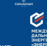 30-й международный Дальневосточный энергетический форум - Туристско-информационный центр
