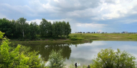 В пруду в Башмаковском районе утонул мужчина - Пенза-Обзор