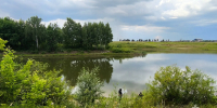 Появились фото с места гибели мужчины на пруду в Башмаковском районе - Пензенская Правда