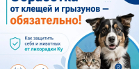 Россельхознадзор напоминает о правилах обработки животных - Октябрьский район